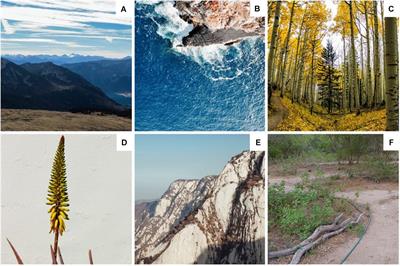 Validating Visual Stimuli of Nature Images and Identifying the Representative Characteristics